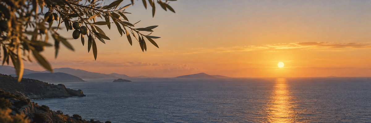 The Aegean horizon at sunset beneath an olive branch